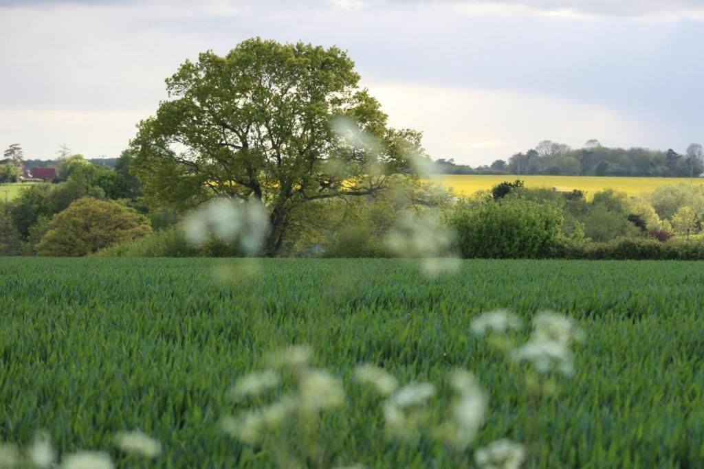 Lovely 3 Bedroom House In The Centre Of Lavenham Exteriér fotografie